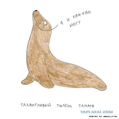 Рисованные животные дурачатся