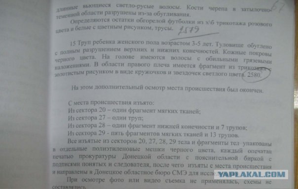 Авиакатастрофа ТУ 154 под Донецком (22.08.2006)