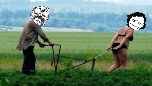 Дачный сезон