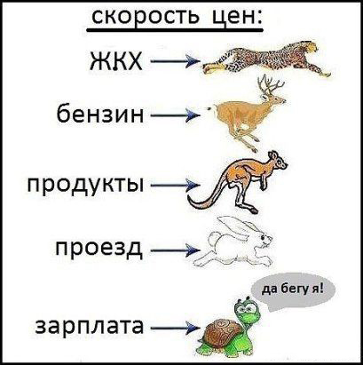 Подборка картинок