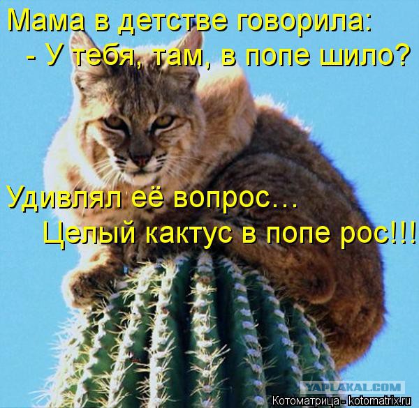 Мои детские косяки