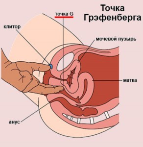 Еще раз о женском оргазме.