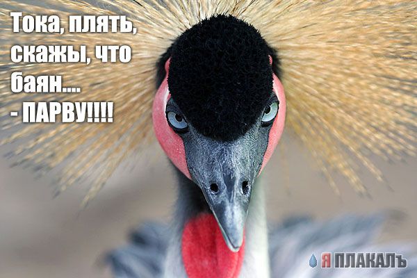 Уже да :) Ужо пятнецца...