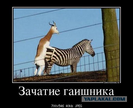 Демотиваторы на пятницу!