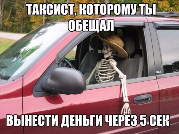 Интересные и веселые картинки