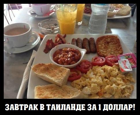 Немного демотиваторов