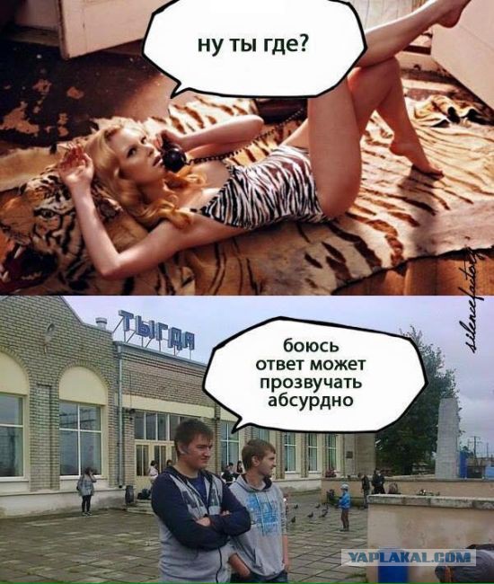 Ужасы и приколы из соцсетей 18+