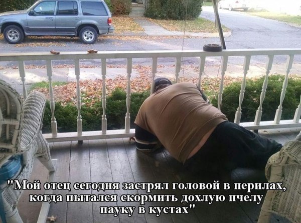 Картинки всякие