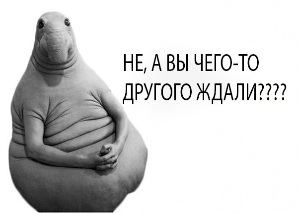 Биатлон.Сезон 2016/2017. Часть 8. Чемпионат Мира 2017 г. Хохфильцен.