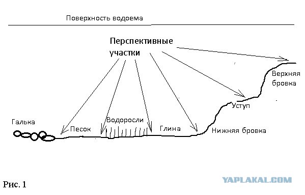 Рыбалки пост, или фидер любимая снасть