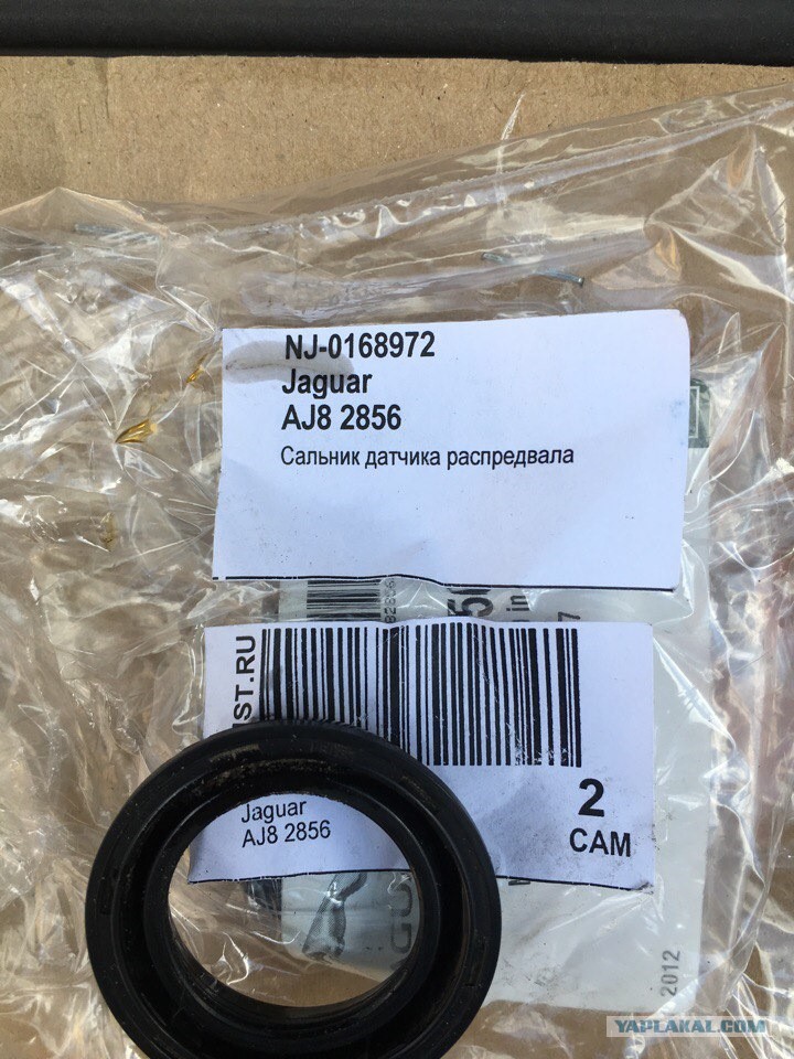 9892733.jpg