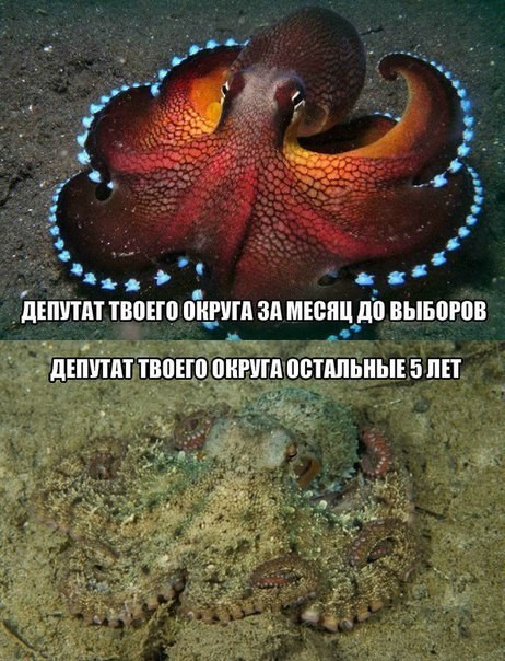 Подборка прикольных картинок на вторник