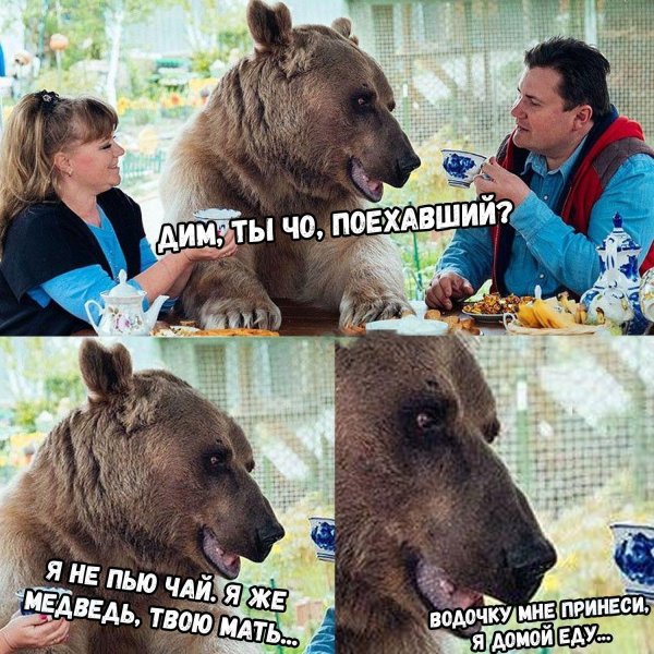 Нестандартный юмор