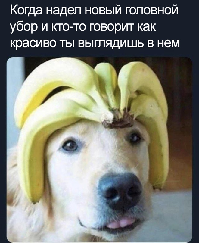 15404833.jpg