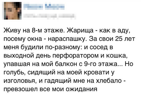Просто фото...
