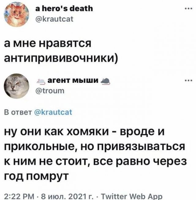 Баянисто-небаянистый юмор 12.07.21