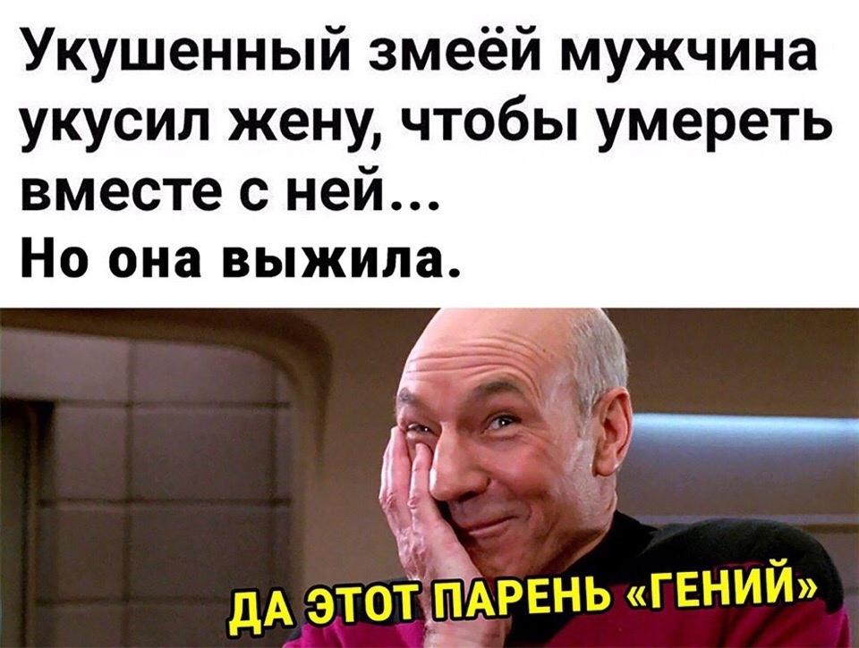 16445833.jpg