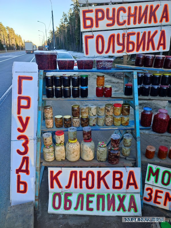 Из Казахстана в Карелию на машине