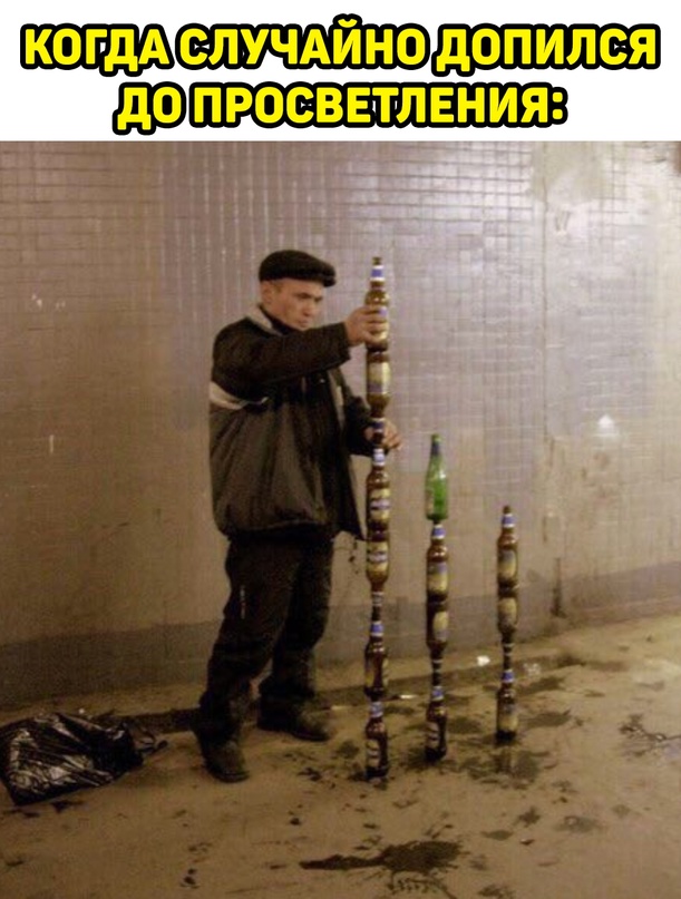 Весёлый полтишок 02.10.22