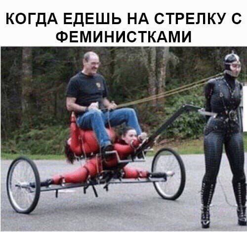 Немного мемчиков. Для взрослых. Часть 29