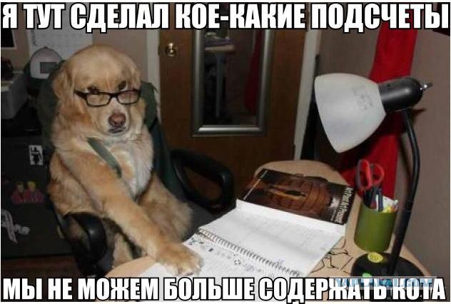 Баяны 10-ти летней выдержки