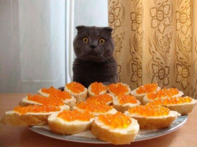 И в этом дурдоме я живу...