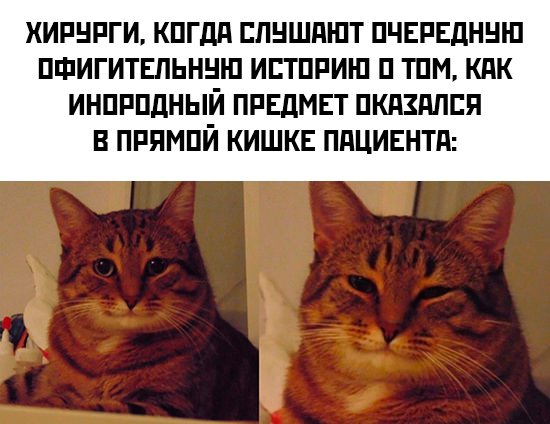 Картинки и мемы для настроения - 131