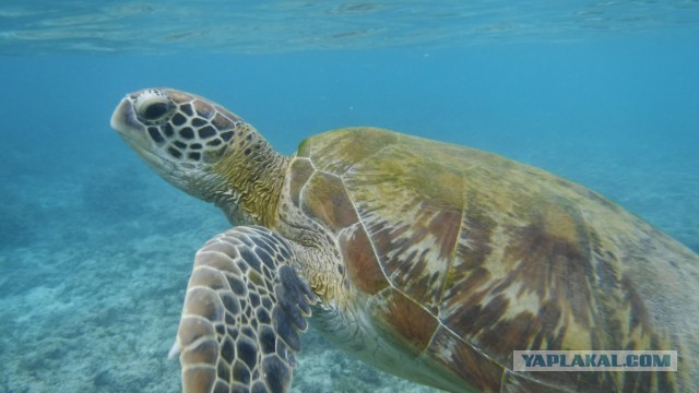 Филиппины. Что посмотреть в Маниле за один день