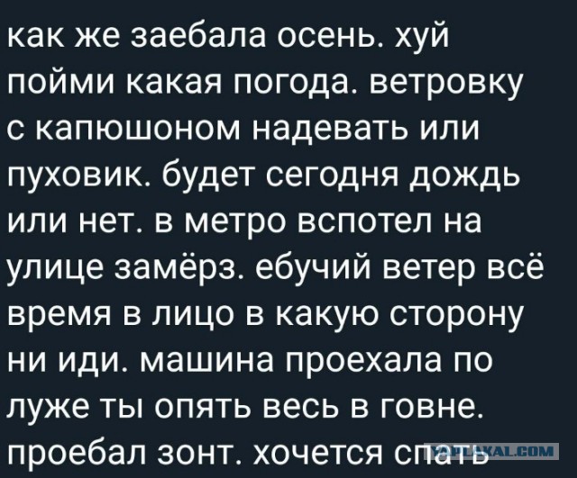 Всего понемногу. От 19.10.23