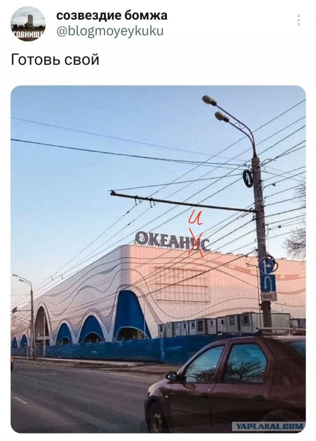 Дурацкие картинки