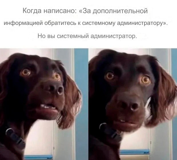 ТРРРидцать тРРРи от 7 мая
