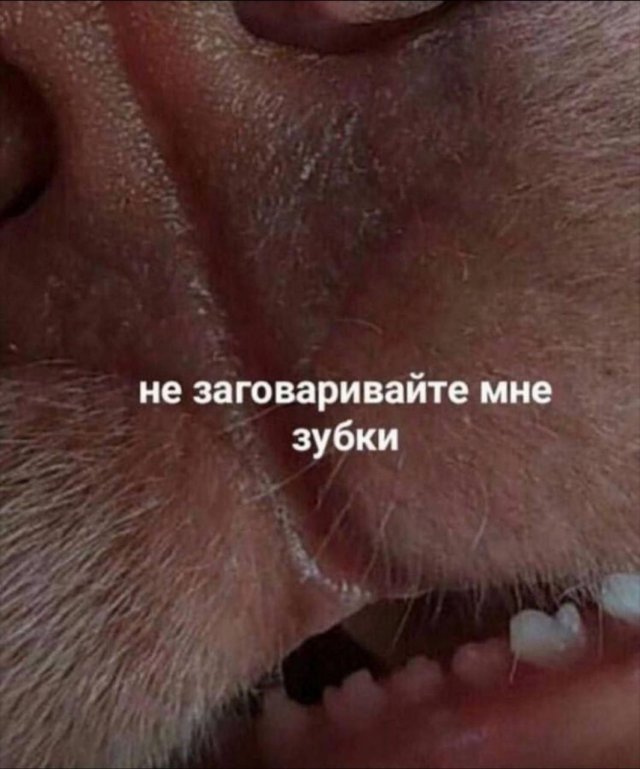 Никакие картинки и тексты