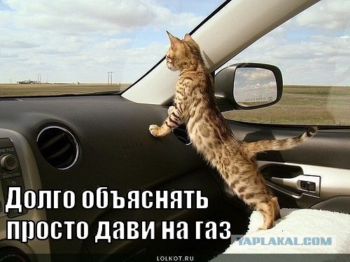 Автокотейка