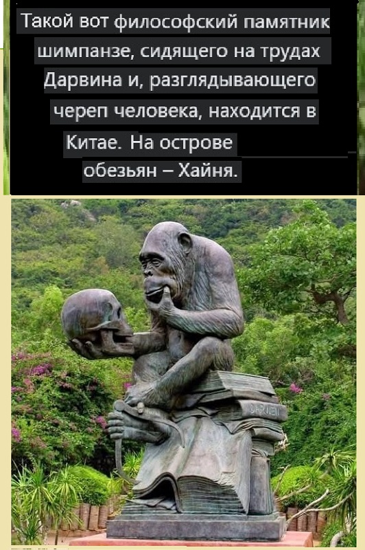 Картинки разные с надписями и без