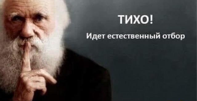 «Ребят, чувствую себя не очень»: журналисты встретили Михаила Ефремова в Москве