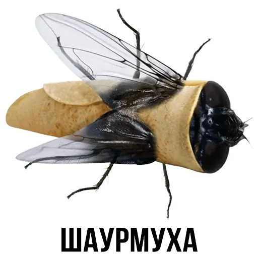 Укуренные картинки
