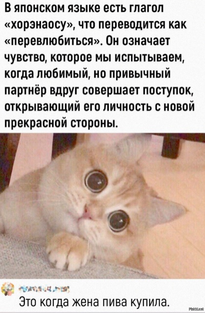 Отборные баяны 10-летней выдержки - LADY'S- Edition
