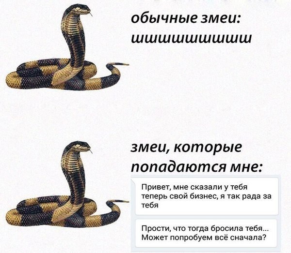 Внезапная соточка дичи