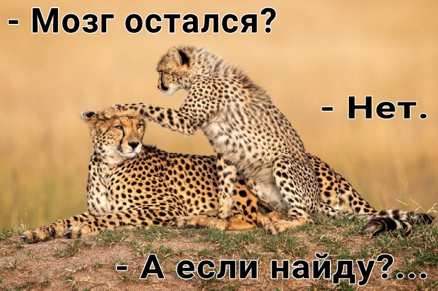 Веселые картинки в маленькую пятницу (27.08)