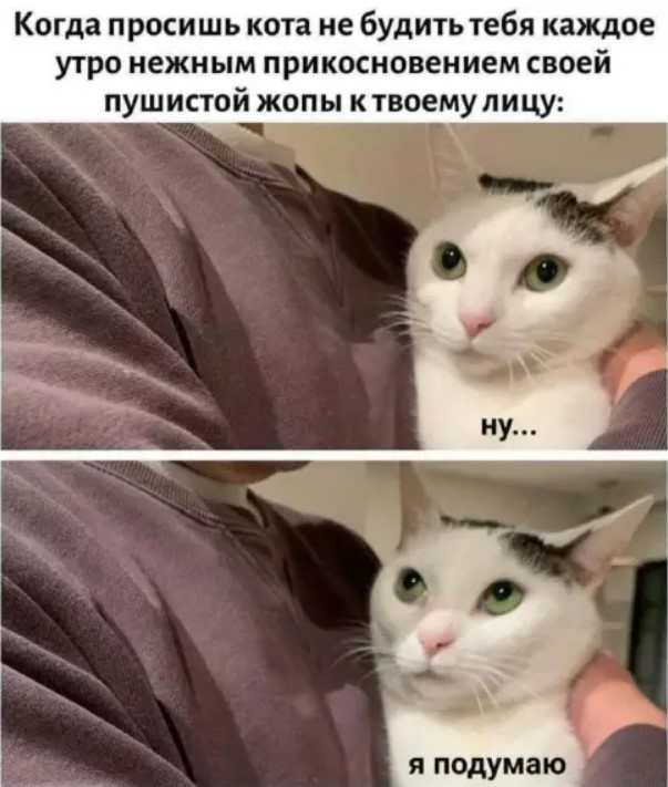 Картиночки, баянчики 14 марта