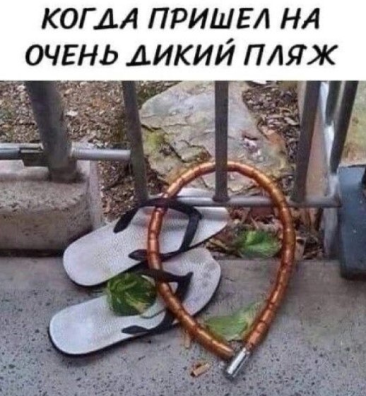 Картиночки, баянчики 24 апреля