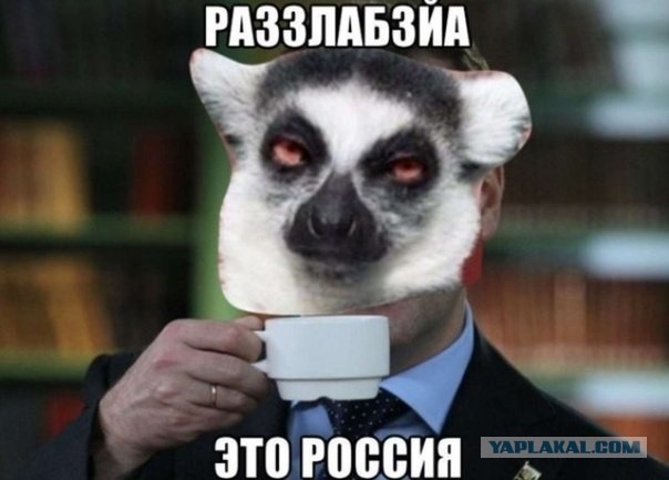 Война объявлена. Что должна делать Россия?