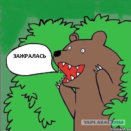 Фраза дня