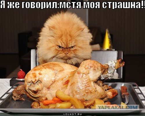 Реинкарнация
