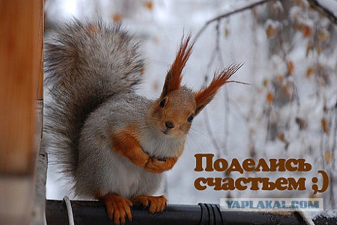 Чёрт, чёрт, чёрт!