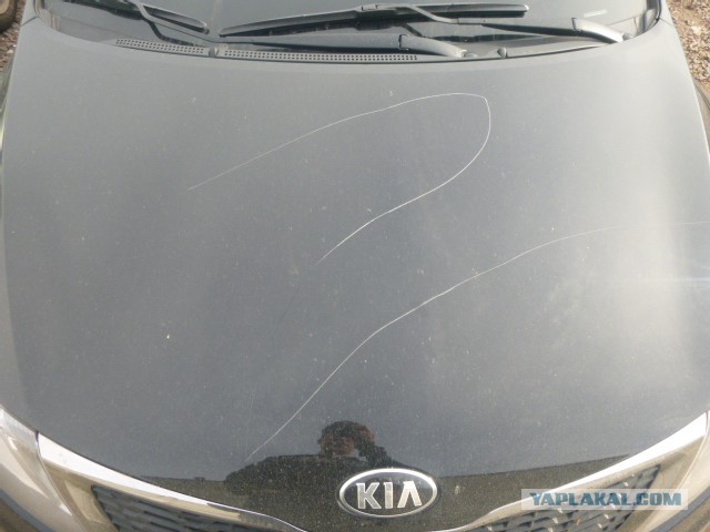 Поймать бы ту сволочь...