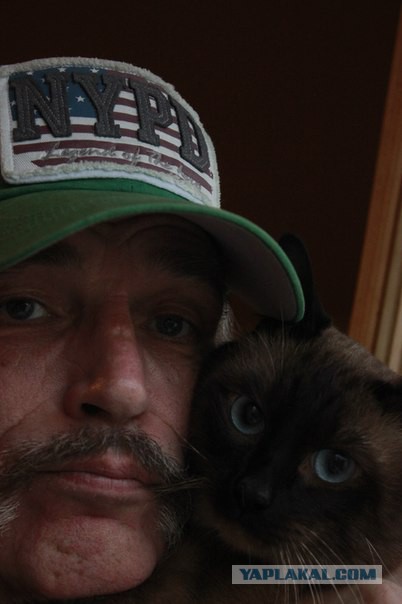 Котовторник 30.09.2014