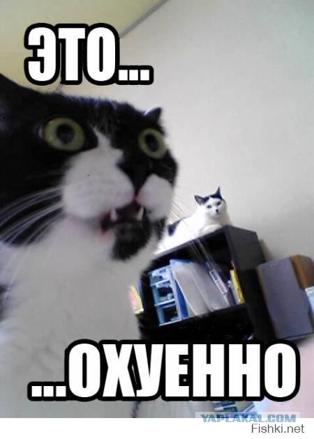 Авторукожопства псто номер три.