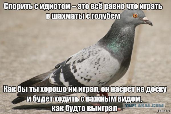 Нам говорят: вот докажите, что Бога нет