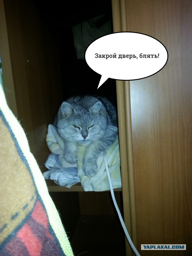 Что с ним делать?